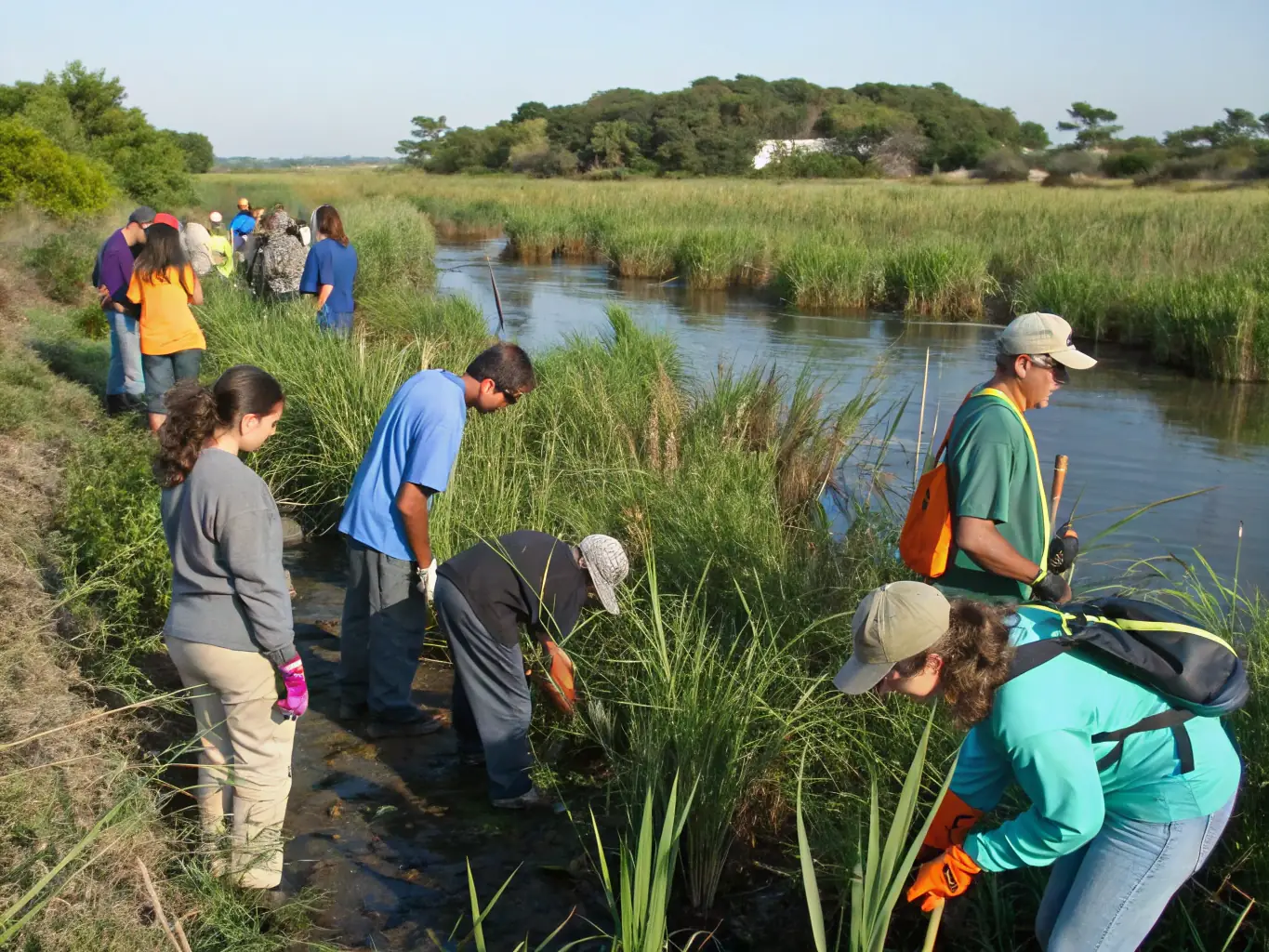 An image showcasing habitat preservation efforts, such as reforestation or wetland restoration, demonstrating ecological stewardship.